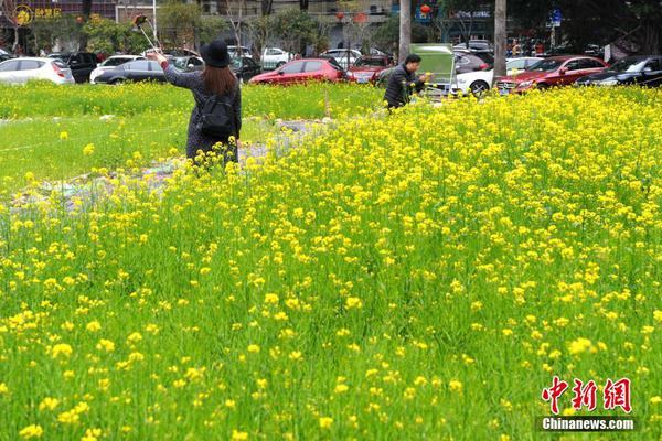 最高法：擅自变更农用地用途 法院依法判令解除合同